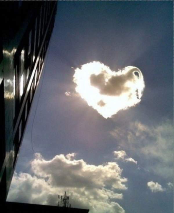De liefde hangt in de lucht