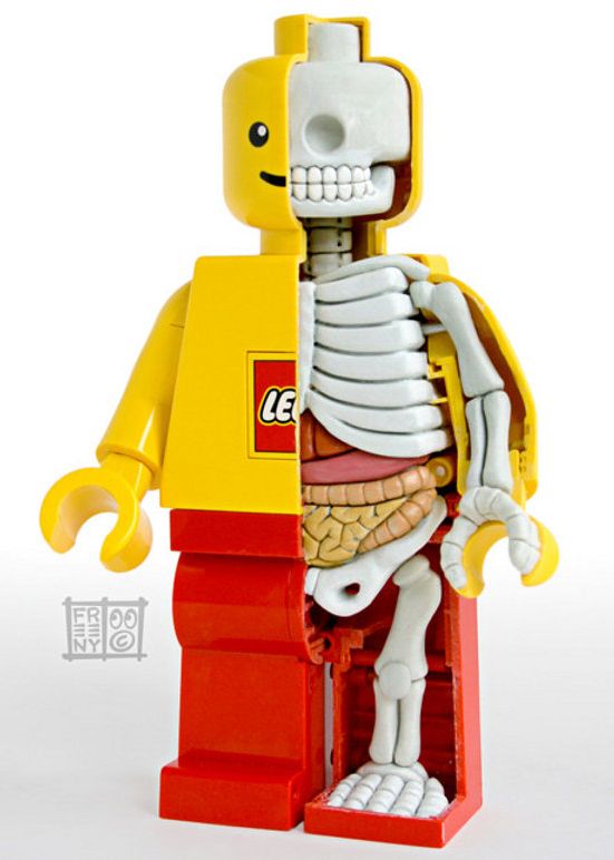 LEGO skelet