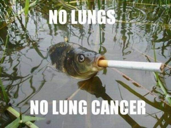 Geen longen, geen longkanker