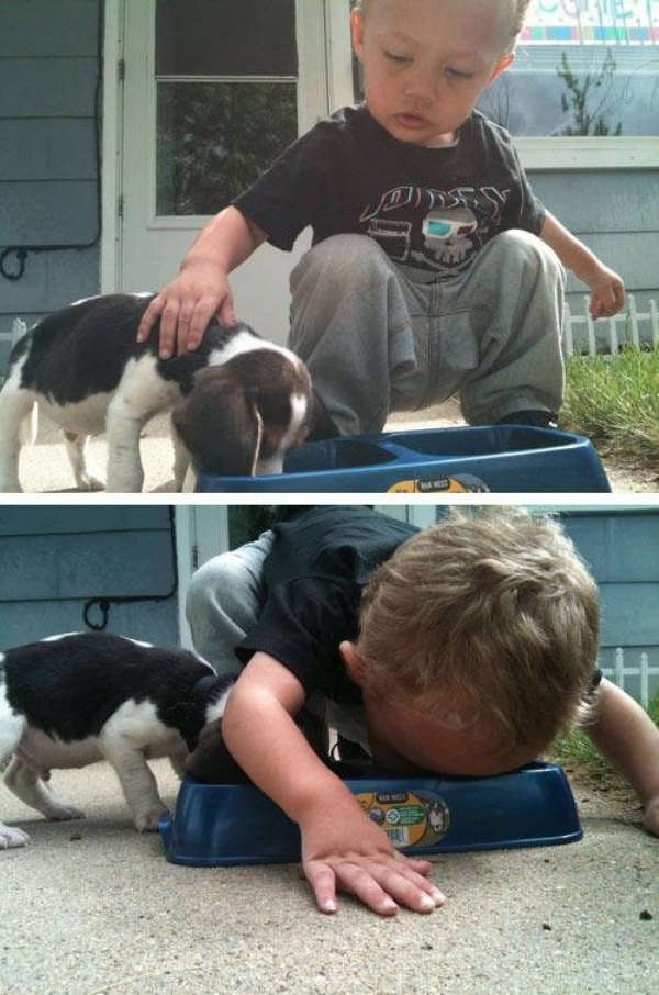 Jongetje en hondje delen eten