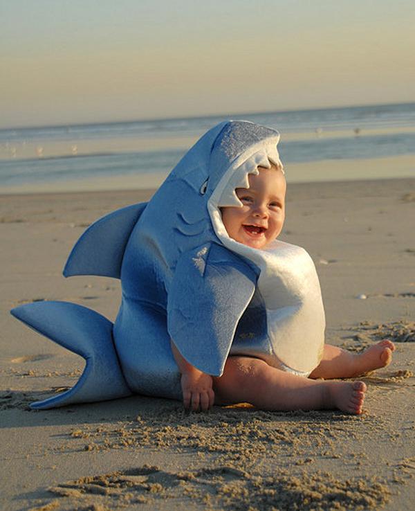 schattige baby haai