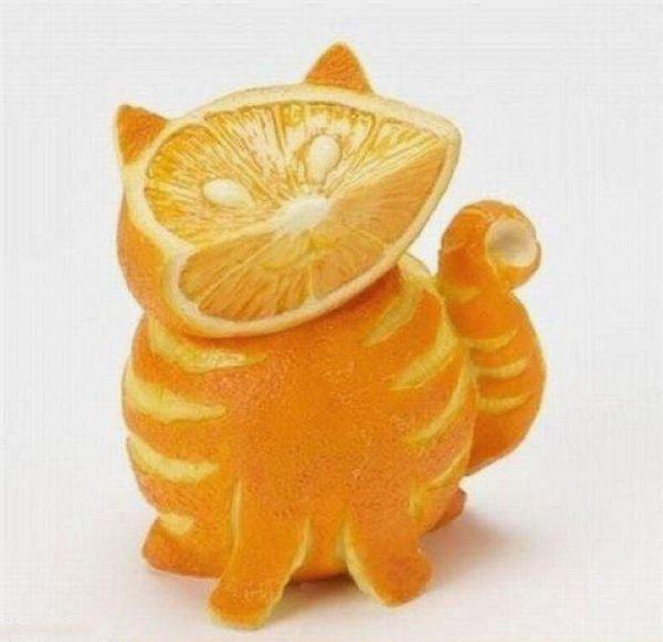 Kat gemaakt van sinaasappels