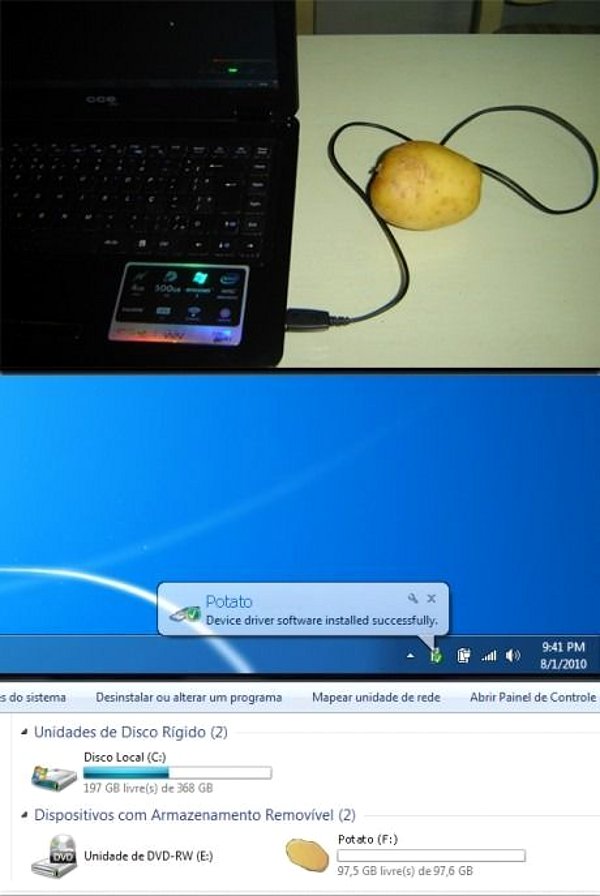 Aardappel 100GB