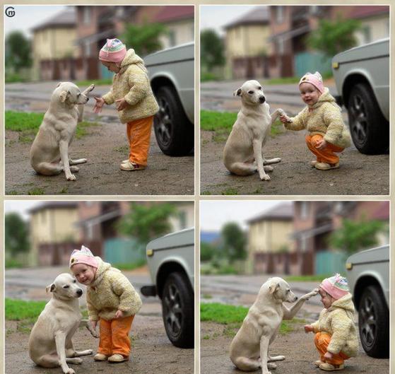 De vriendschap tussen hond en kind