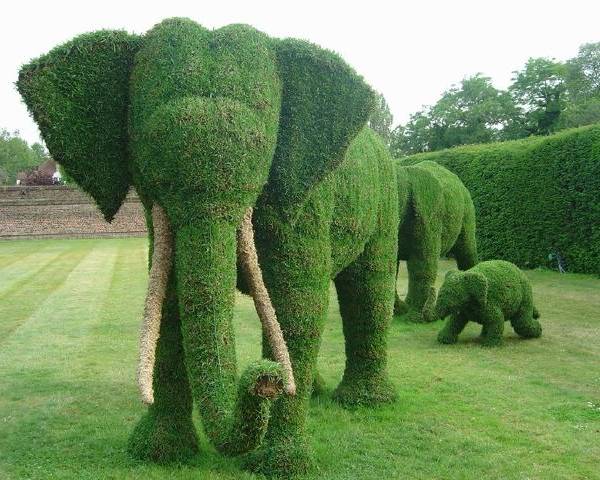 Olifant gras sculptuur